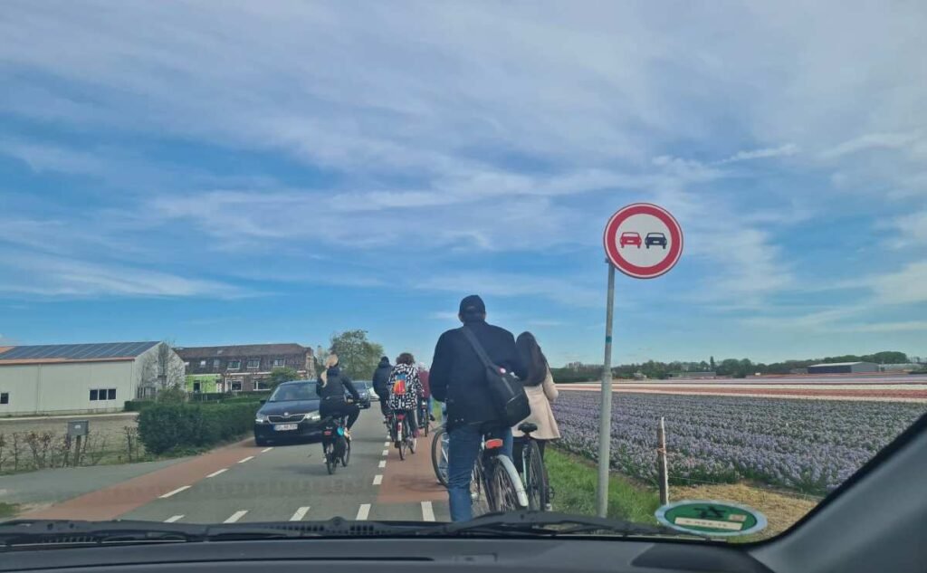 Bollenstreek-crowds