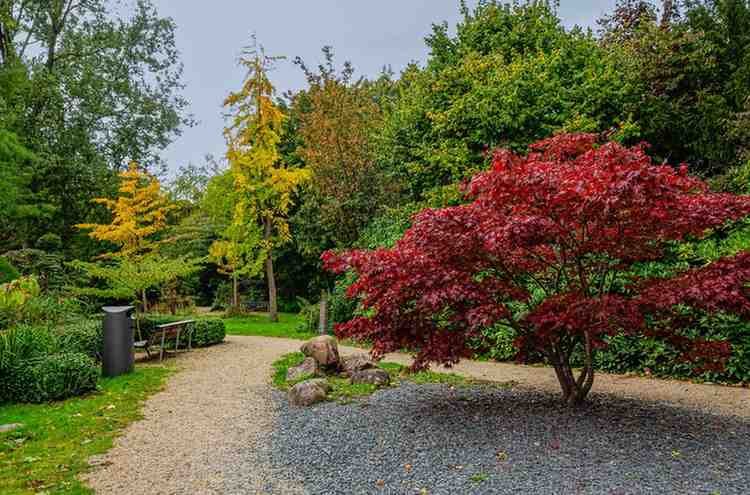 amstelpark-japanese-garden (1)