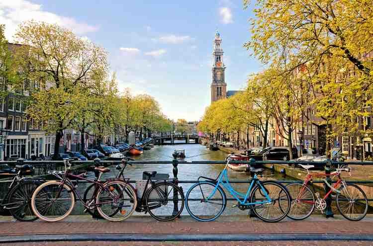 amsterdam-bicycles-autumn-foliage (1)