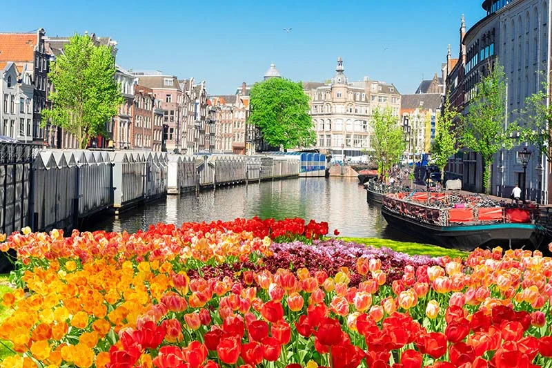 amsterdam-tulips-canal-2