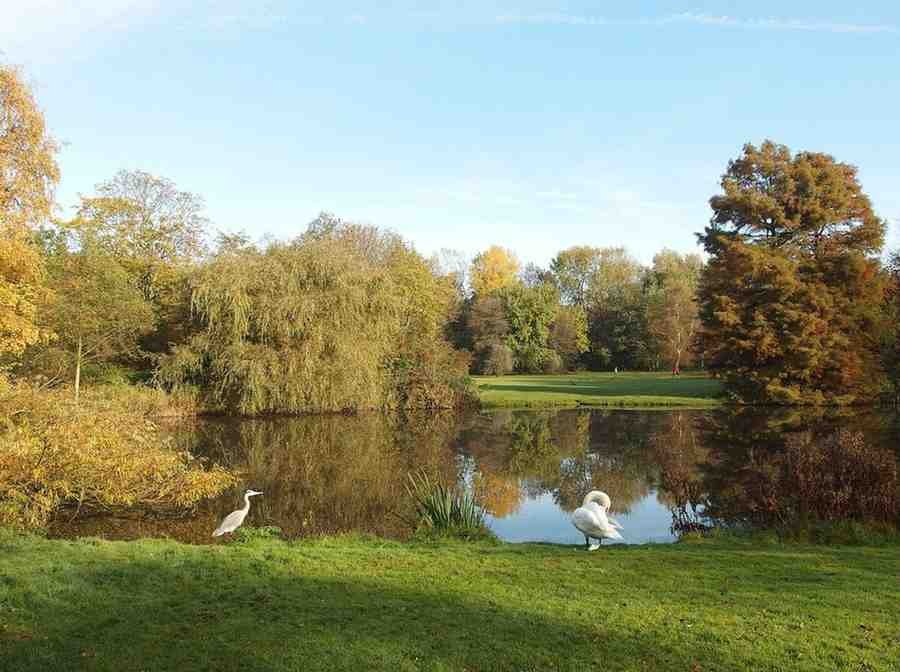 flevopark-amsterdam (1)