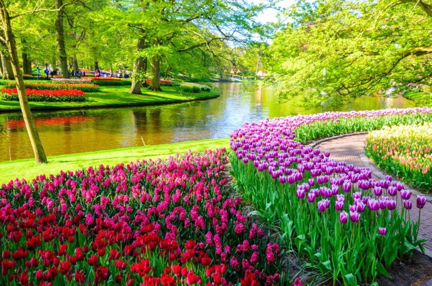 gardens-keukenhof