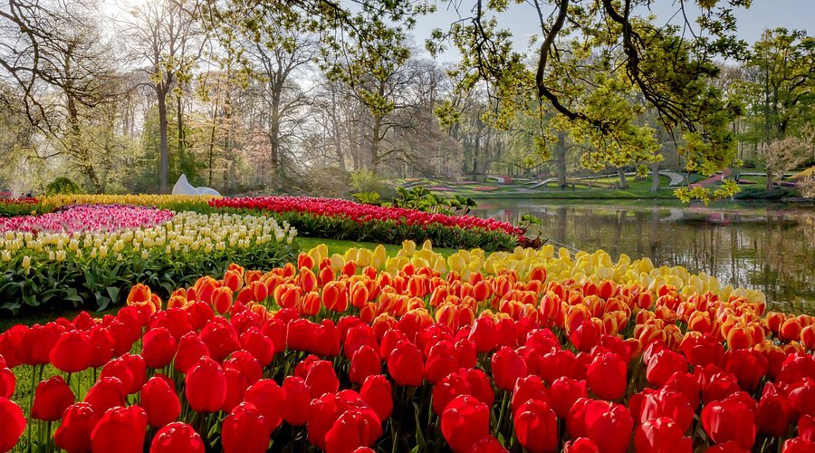 keukenhof