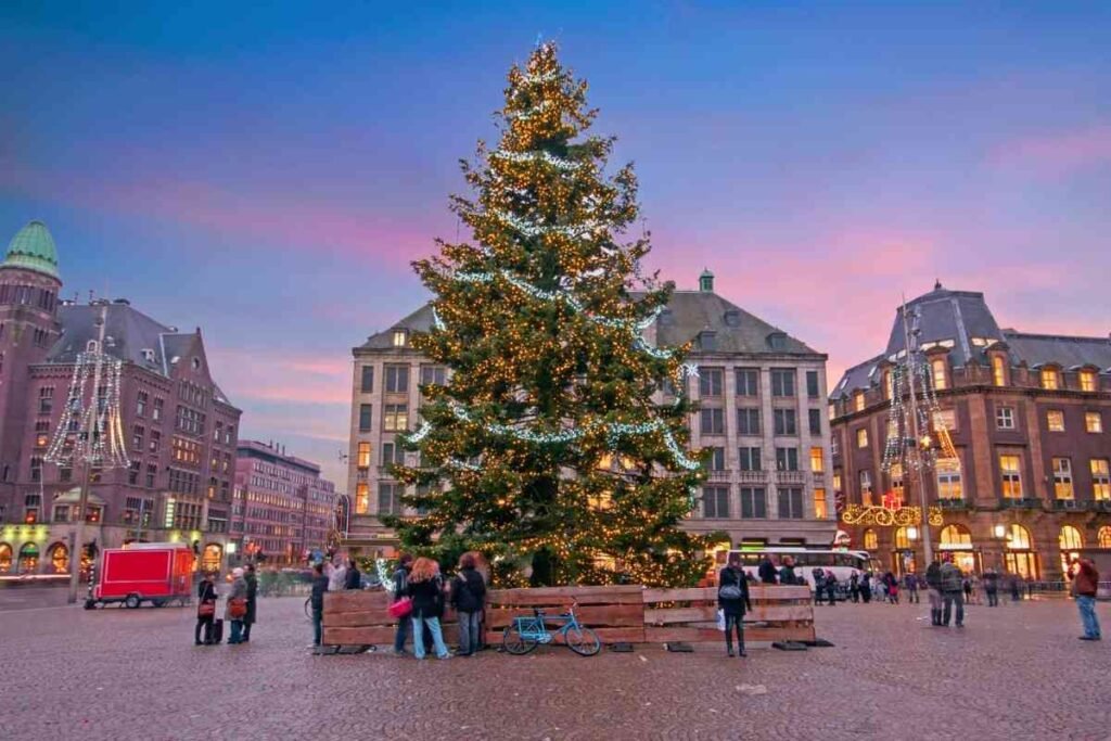 Amsterdam-christmas-tree-1536x1024
