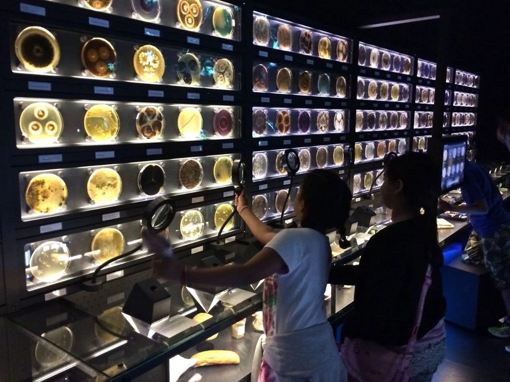 micropia amsterdam